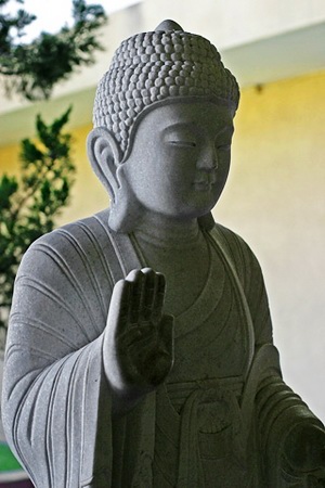 Lightmatter Buddha