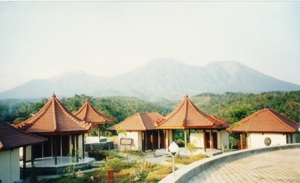 The Theravada Bhikkhu Sangha in Indonesia