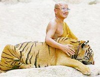 Tiger with monk